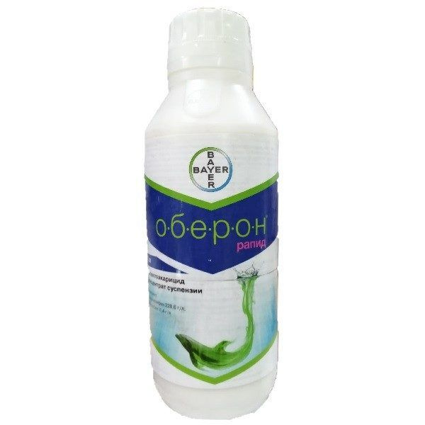 Оберон Рапид